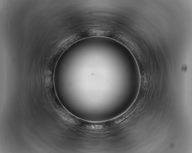 X0000101170361200806271040