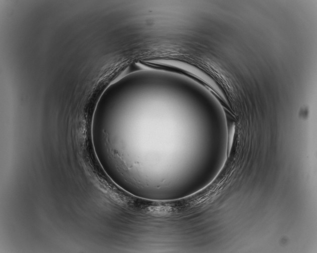 X0000101170362200806271040