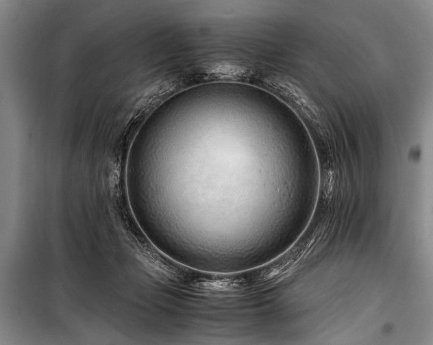 X0000101170365200806271040