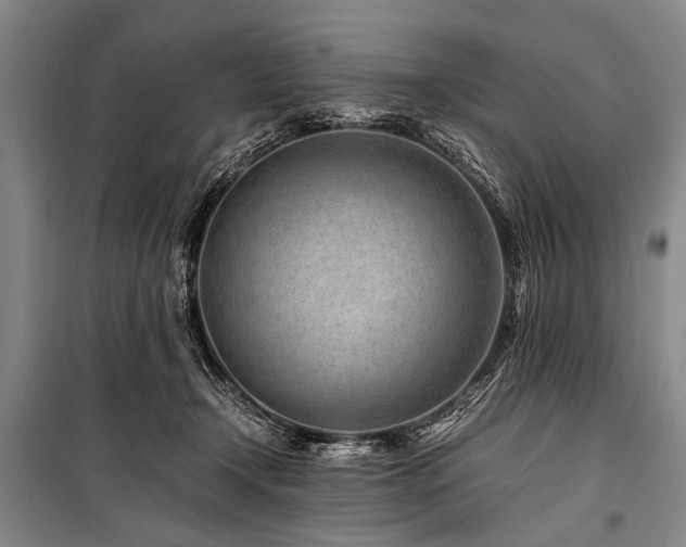 X0000101170366200806271040