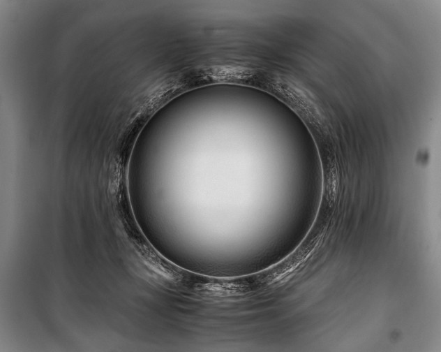X0000101170367200806271040