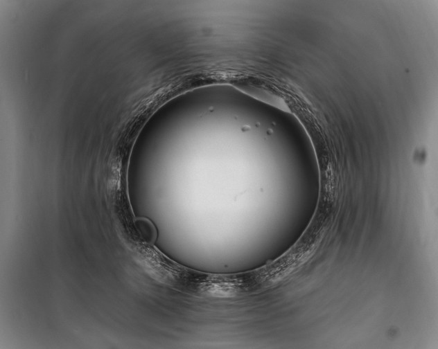 X0000101170368200806271040