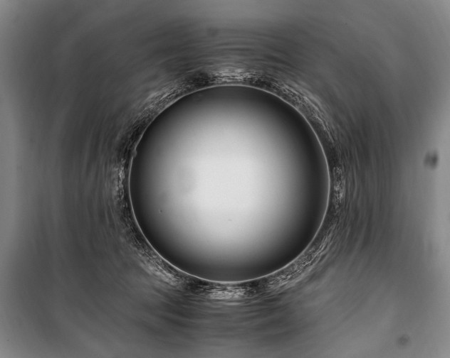 X0000101170369200806271040