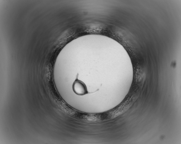 X0000101170370200806271040