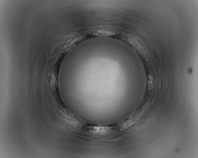 X0000101170371200806271040