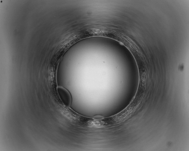 X0000101170372200806271040