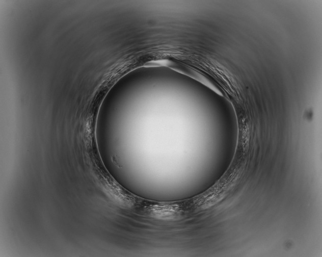 X0000101170373200806271040