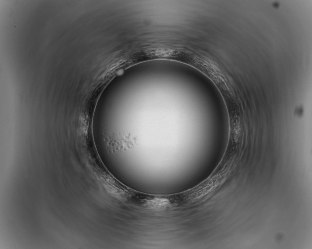 X0000101170374200806271040