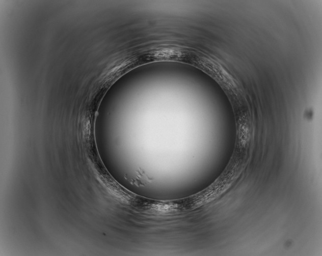 X0000101170375200806271040