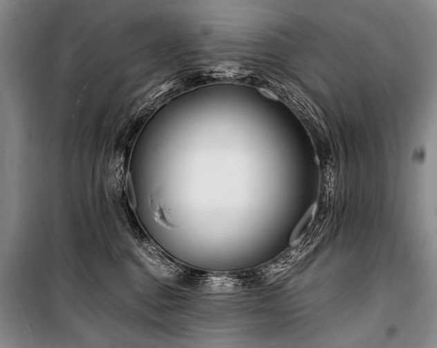 X0000101170376200806271040