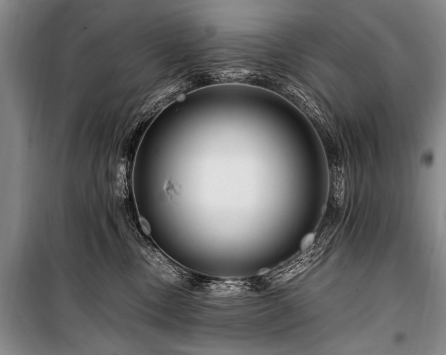 X0000101170378200806271040