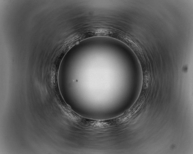X0000101170379200806271040