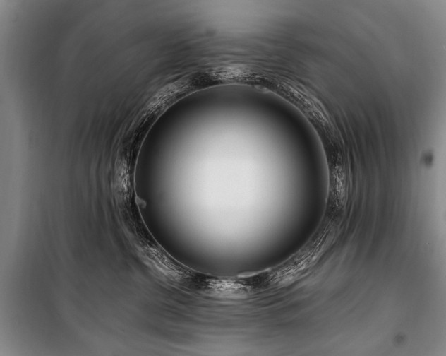 X0000101170380200806271040