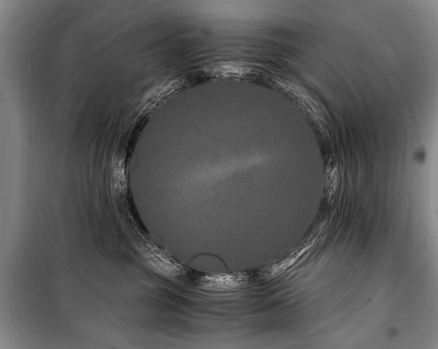 X0000101170381200806271040