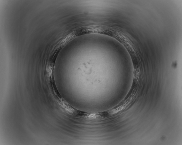 X0000101170382200806271040