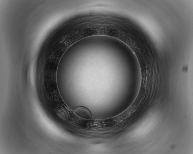 X0000101170383200806271040