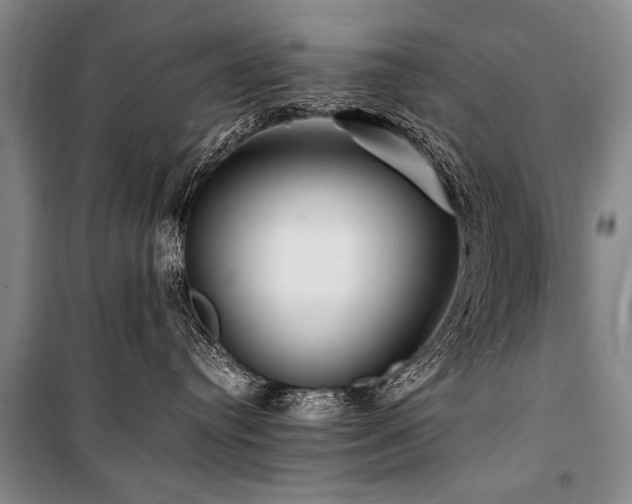 X0000101170384200806271040