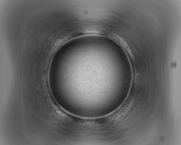 X0000101170385200806271040