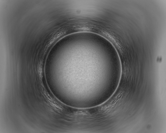 X0000101170386200806271040