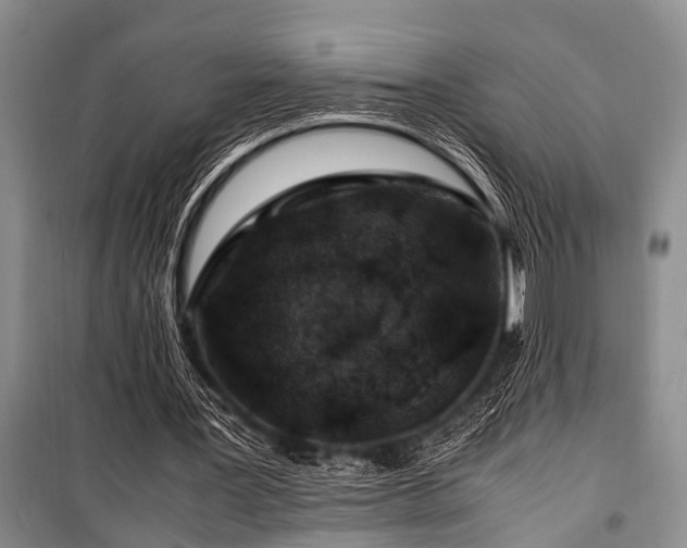 X0000101170387200806271040