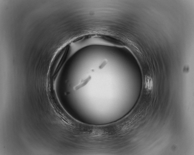 X0000101170388200806271040