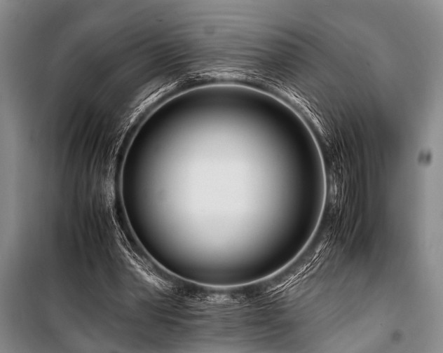 X0000101170390200806271040