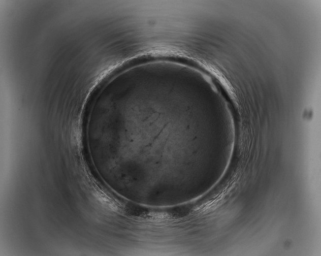 X0000101170391200806271040