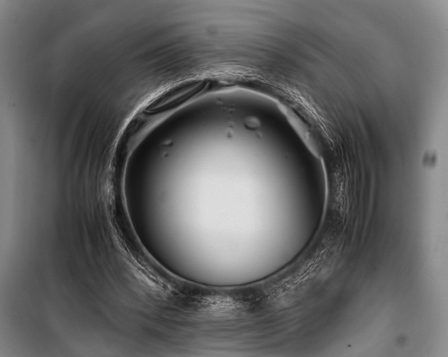 X0000101170392200806271040