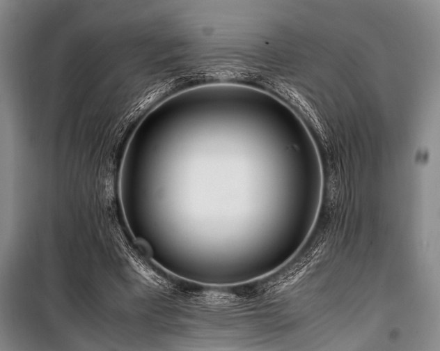 X0000101170393200806271039