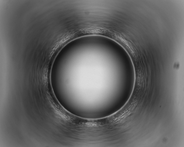 X0000101170394200806271039