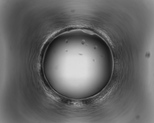 X0000101170395200806271039