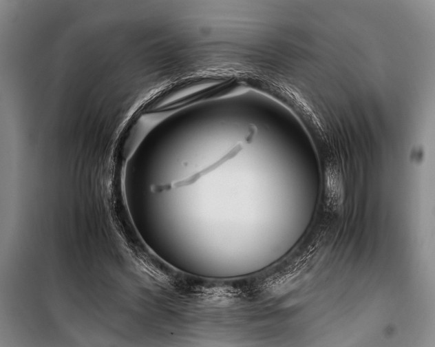 X0000101170396200806271039