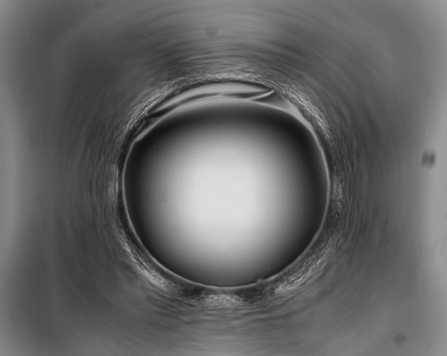 X0000101170397200806271039