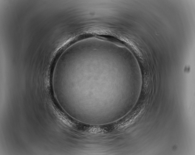 X0000101170399200806271039
