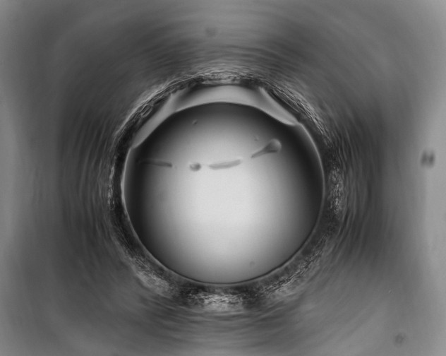 X0000101170400200806271039