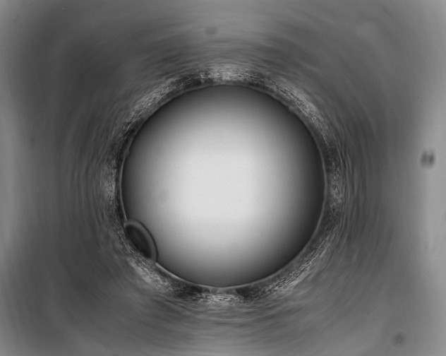X0000101170401200806271039