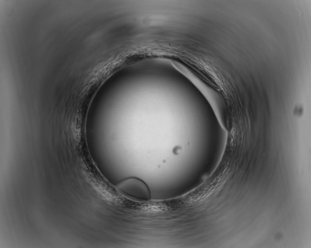 X0000101170402200806271039