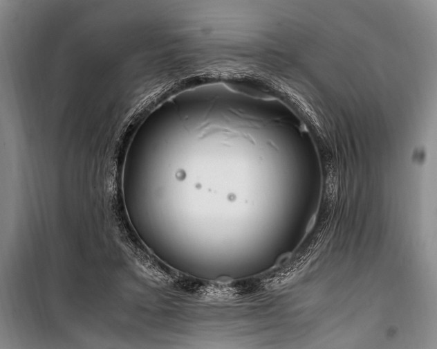 X0000101170403200806271039