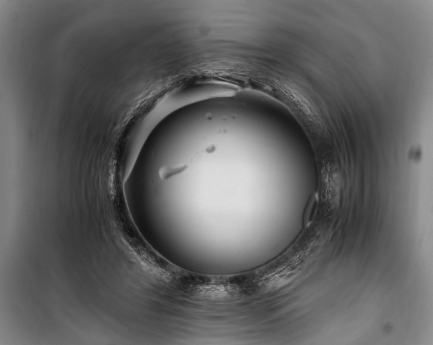 X0000101170404200806271039