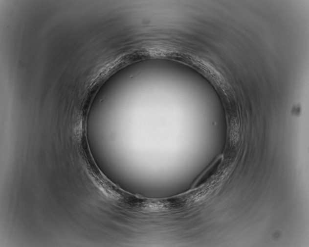 X0000101170405200806271039