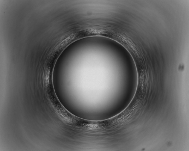 X0000101170406200806271039