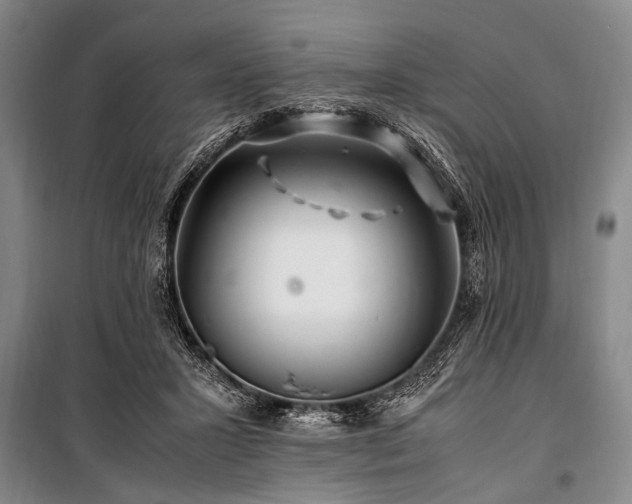 X0000101170407200806271039