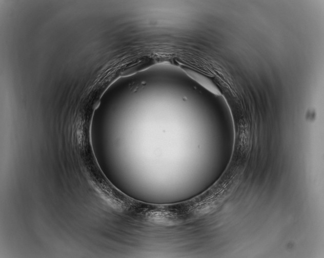 X0000101170408200806271039