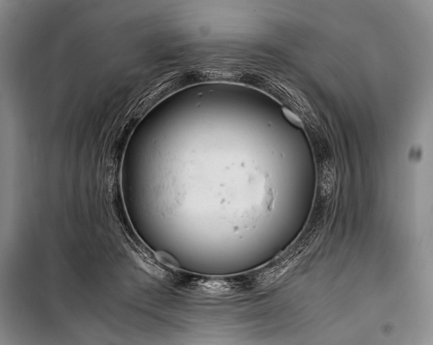 X0000101170409200806271039