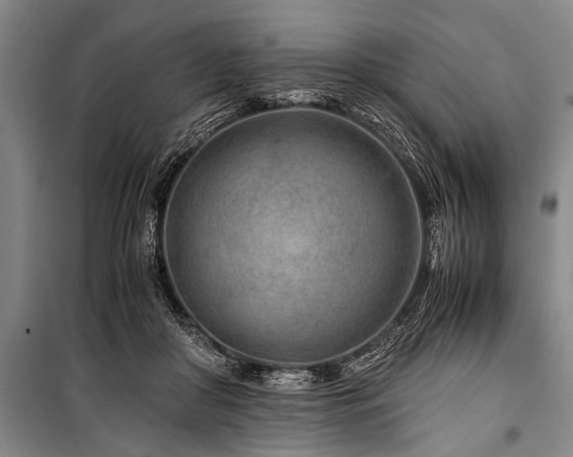 X0000101170410200806271039