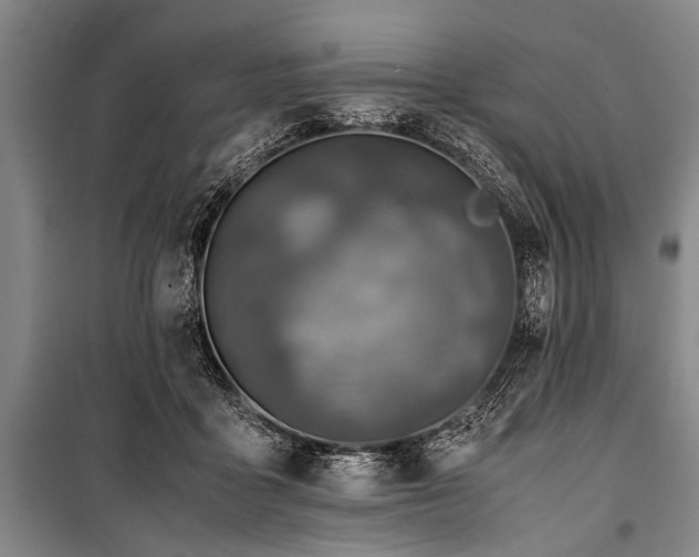 X0000101170411200806271039