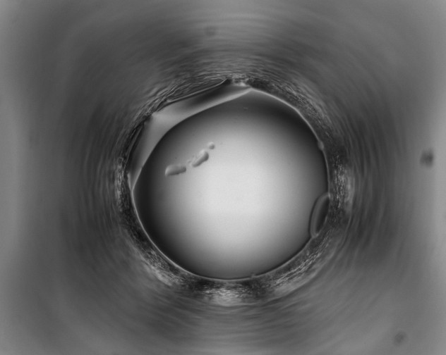 X0000101170412200806271039