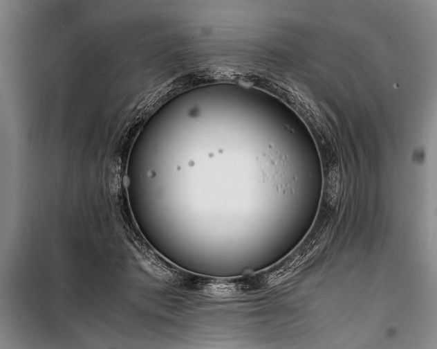 X0000101170413200806271039