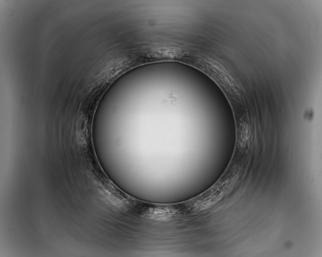 X0000101170414200806271039