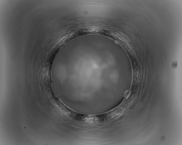 X0000101170415200806271039